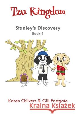 Stanley's Discovery Karen Chilvers 9781789556681 New Generation Publishing - książka