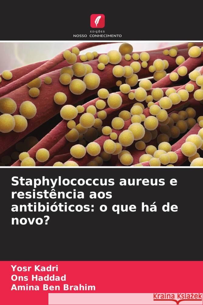 Staphylococcus aureus e resistência aos antibióticos: o que há de novo? Kadri, Yosr, Haddad, Ons, Ben Brahim, Amina 9786208329938 Edições Nosso Conhecimento - książka