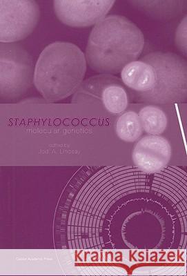 Staphylococcus: Molecular Genetics Jodi Lindsay 9781904455295 Caister Academic Press - książka