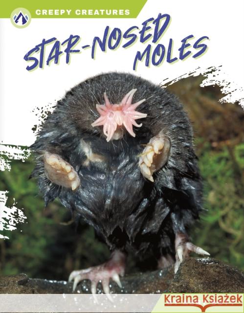 Star-Nosed Moles Abby Doty 9798892503235 North Star Editions - książka