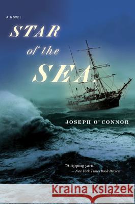 Star of the Sea Joseph O'Connor 9780156029667 Harvest/HBJ Book - książka