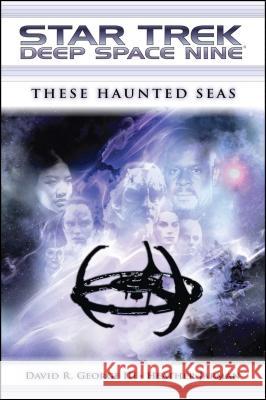 Star Trek: Deep Space Nine: These Haunted Seas David R. Georg Heather Jarman 9781416556398 Star Trek - książka