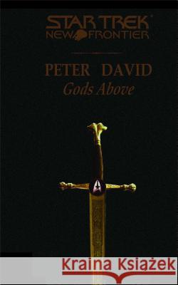 Star Trek: New Frontier: Gods Above Peter David 9781476772981 Pocket Books/Star Trek - książka