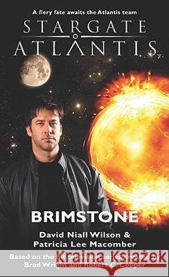 STARGATE ATLANTIS Brimstone Wilson, David Niall 9781905586202 Fandemonium Books - książka