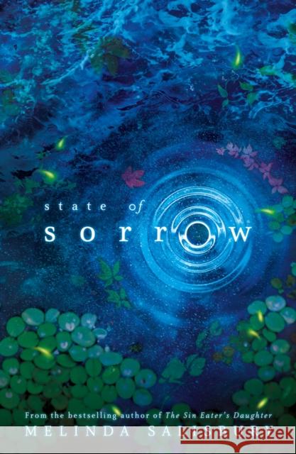 State of Sorrow Salisbury, Melinda 9781407180274 Scholastic - książka