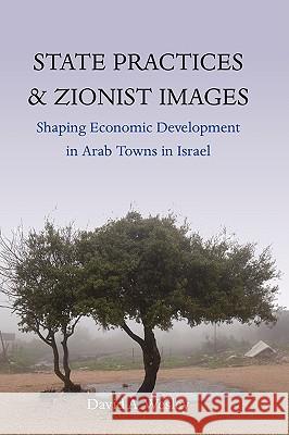 State Practices and Zionist Images D A Wesley 9781845453565  - książka