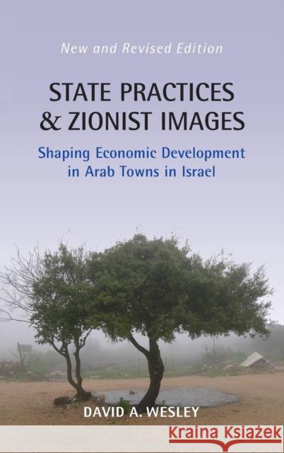 State Practices and Zionist Images: Shaping Economic Development in Arab Towns in Israel David A. Wesley   9781800735446 Berghahn Books - książka