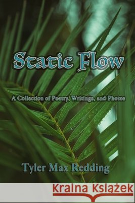 Static Flow Tyler Max Redding, Evelyn Lowell Prieto, Lacia Anniya Redding 9798989450947 Latent Press LLC - książka