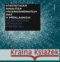 Statistická analýza vícerozměrných dat v příkladech Jiří Militký 9788024636184 Karolinum - książka