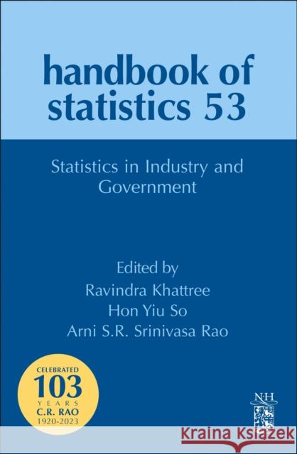 Statistics in Industry and Government: Volume 53 Ravindra Khattree Hon Yiu So Arni S. R. Srinivas 9780443314223 Academic Press - książka