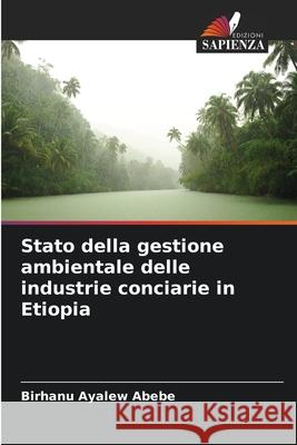 Stato della gestione ambientale delle industrie conciarie in Etiopia Birhanu Ayalew Abebe 9786207678228 Edizioni Sapienza - książka