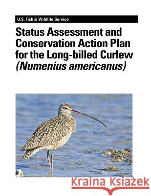 Status Assessment and Conservation Action Plan for the Long-billed Curlew (Numenius americanus) Jones, Stephanie L. 9781479141173 Createspace - książka