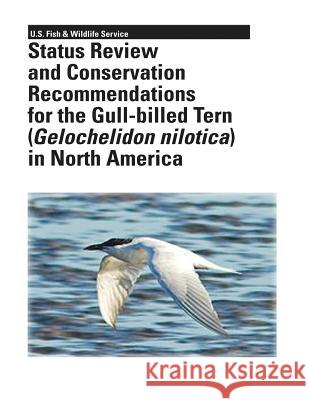 Status Review and Conservation Recommendations for the Gull-billed Tern (Gelochelidon nilotica) in North America Erwin, R. Michael 9781479141241 Createspace - książka