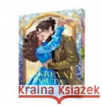 Stříbrné stíny Richelle Mead 9788027612017 #booklab - książka