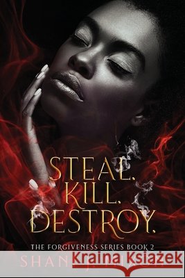 Steal. Kill. Destroy Mixon, Shani Jamila 9798614339272 Independently Published - książka