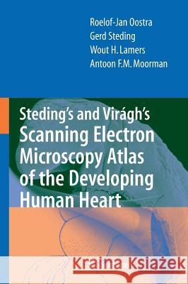 Steding's and Virágh's Scanning Electron Microscopy Atlas of the Developing Human Heart Oostra, R. J. 9780387369426 Springer - książka
