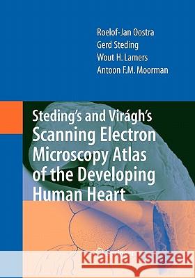 Steding's and Virágh's Scanning Electron Microscopy Atlas of the Developing Human Heart Oostra, R. J. 9781441922755 Springer - książka