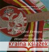 Střední Evropa aneb Historie jednoho pomníku Bernhard Schlink 9788074853180 Books & Pipes - książka