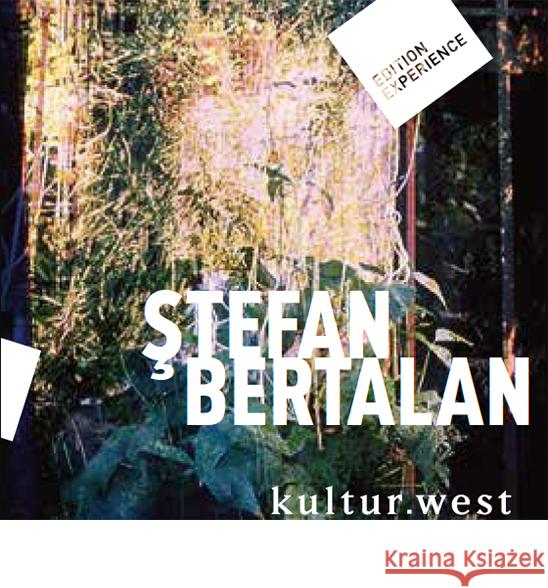 Stefan Bertalan. Visuelle Strukturen 1960-2000 Talmann, Doina 9783948365035 K-West Verlag - książka