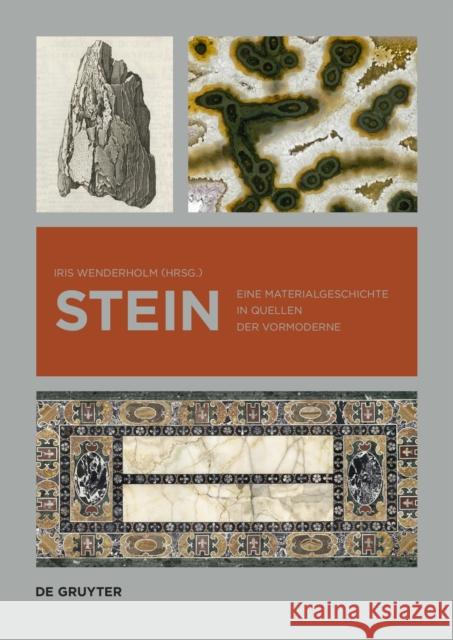 Stein: Eine Materialgeschichte in Quellen Der Vormoderne Iris Wenderholm Isabella Augart 9783110684339 de Gruyter - książka