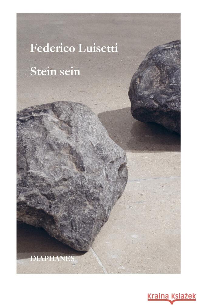 Stein sein Luisetti, Federico 9783035807752 diaphanes - książka