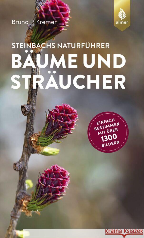 Steinbachs Naturführer Bäume und Sträucher Kremer, Bruno P. 9783818607258 Verlag Eugen Ulmer - książka