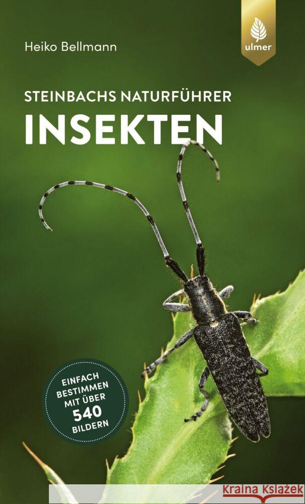 Steinbachs Naturführer Insekten Bellmann, Heiko 9783818614195 Verlag Eugen Ulmer - książka