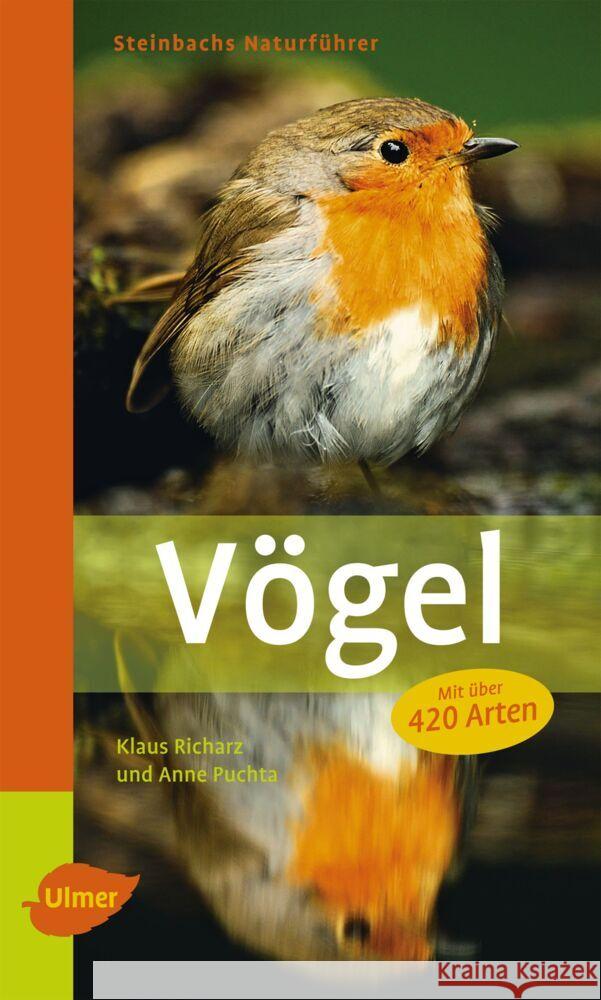 Steinbachs Naturführer Vögel : Entdecken und erkennen Richarz, Klaus; Puchta, Anne 9783800182442 Ulmer (Eugen) - książka