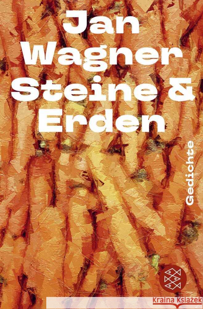 Steine & Erden Wagner, Jan 9783596711406 FISCHER Taschenbuch - książka