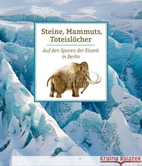 Steine, Mammuts, Toteislöcher : Auf den Spuren der Eiszeit in Berlin Witzel, Beate 9783939254256 Verlag M - książka