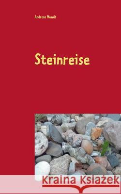 Steinreise: Ein historischer Episodenroman Mundt, Andreas 9783739243986 Books on Demand - książka