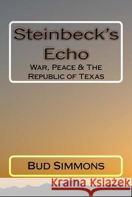 Steinsbecks Echo Bud Simmons 9781987482492 Createspace Independent Publishing Platform - książka