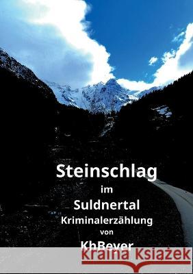 Steinschlag im Suldnertal: Kriminalerzählung Beyer, Kh 9783753407371 Books on Demand - książka