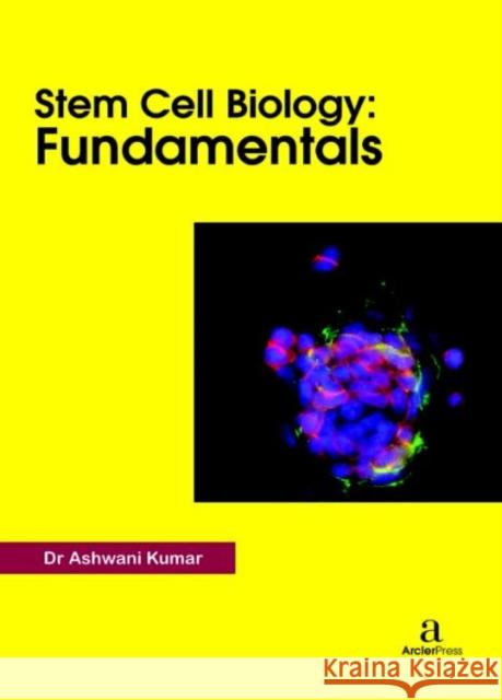 Stem Cell Biology: Fundamentals Ashwani Kumar   9781680945386 Arcler Education Inc - książka