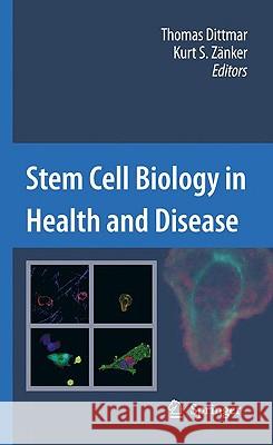 Stem Cell Biology in Health and Disease Thomas Dittmar Kurt S. Zanker 9789048130399 Springer - książka