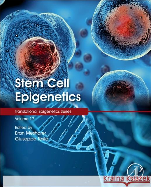 Stem Cell Epigenetics: Volume 17 Meshorer, Eran 9780128140857 Academic Press - książka