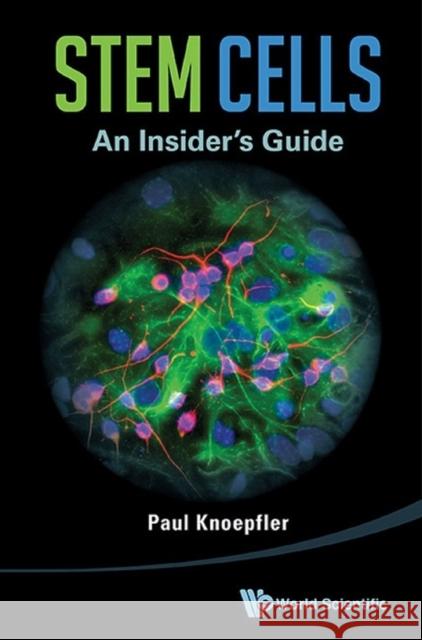 Stem Cells: An Insider's Guide Paul Knoepfler 9789814508803 World Scientific Publishing Co Pte Ltd - książka