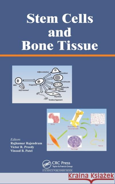 Stem Cells and Bone Tissue Fajkumar Rajendram Victor R. Preedy Vinood Patel 9781466578418 CRC Press - książka