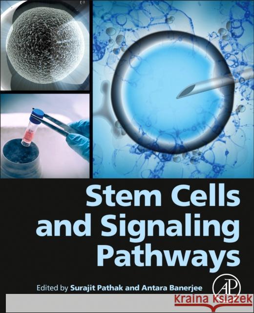 Stem Cells and Signaling Pathways Surajit Pathak Antara Banerjee 9780443188008 Elsevier Science Publishing Co Inc - książka