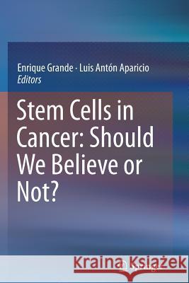 Stem Cells in Cancer: Should We Believe or Not? Enrique Grande Luis Anto 9789402403237 Springer - książka