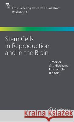 Stem Cells in Reproduction and in the Brain Morser                                   J. Morser John Morser 9783540314363 Springer - książka