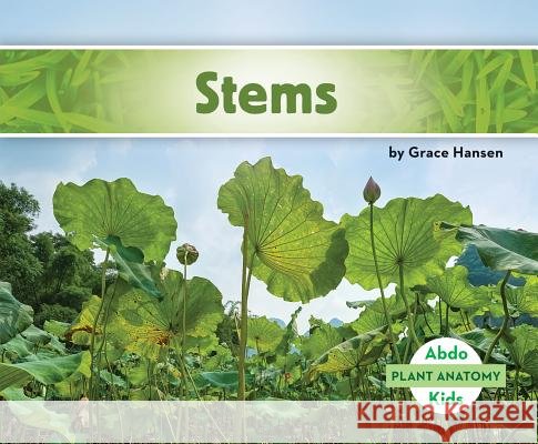 Stems Grace Hansen 9781680801408 Abdo Kids - książka