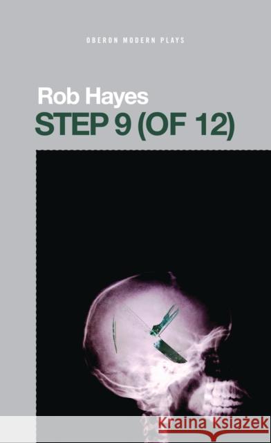 Step 9 (of 12) Robert R Hayes 9781849431941  - książka