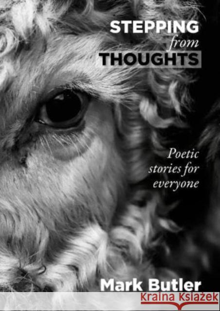 Stepping from Thoughts: Poetic stories for everyone Mark Butler 9781913012373 Riverside Publishing Solutions Ltd - książka