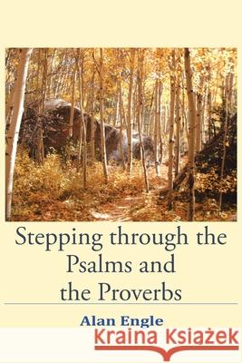 Stepping through the Psalms and the Proverbs Alan Engle 9781098052928 Christian Faith - książka