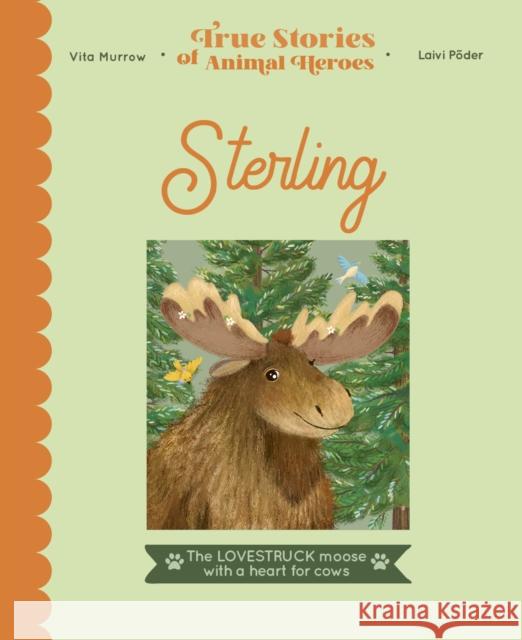 Sterling: The lovestruck moose with a heart for cows Vita Murrow 9780711263970 Quarto Publishing PLC - książka