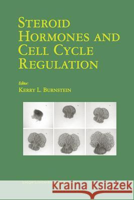 Steroid Hormones and Cell Cycle Regulation Kerry L. Burnstein Kerry L 9781461353270 Springer - książka