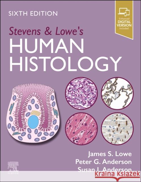 Stevens & Lowe's Human Histology Susan I., BSc, M Med Sc, PhD Anderson 9780443109706 Elsevier Health Sciences - książka