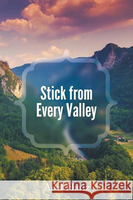 Stick from Every Valley Adel Hariz 9781641519854 Litfire Publishing, LLC - książka