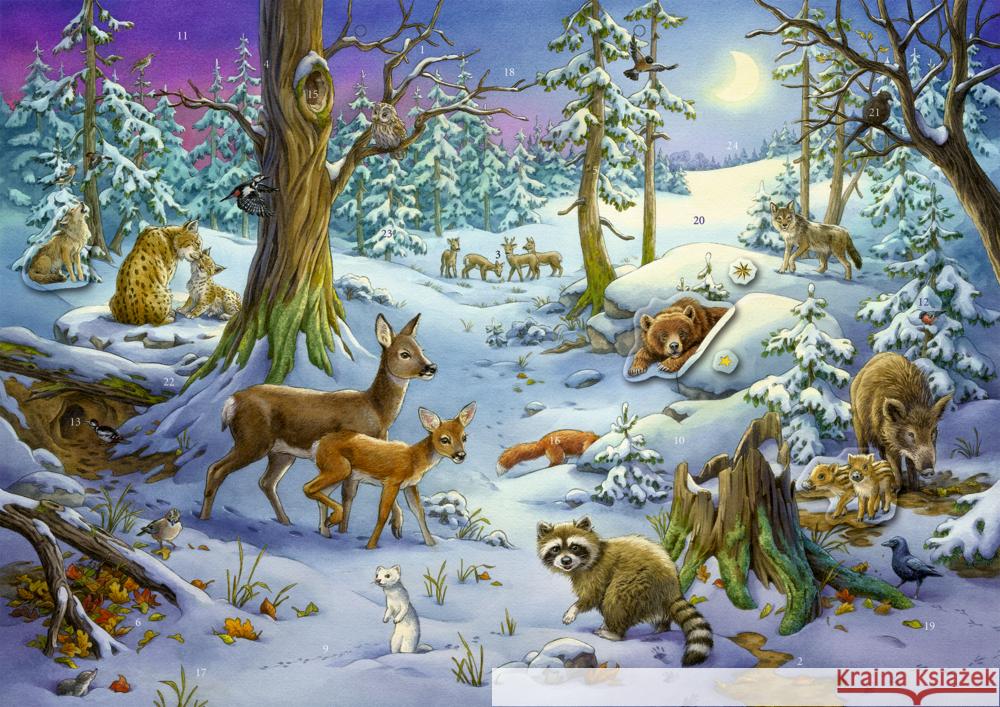 Sticker-Adventskalender  4050003952536 Coppenrath, Münster - książka